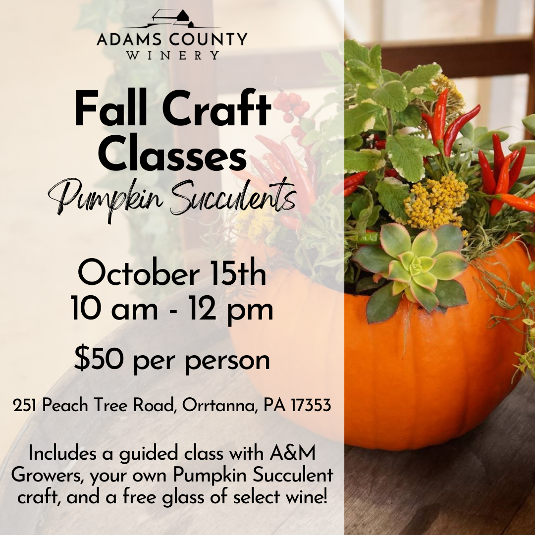 Fall Craft Class – October 15th