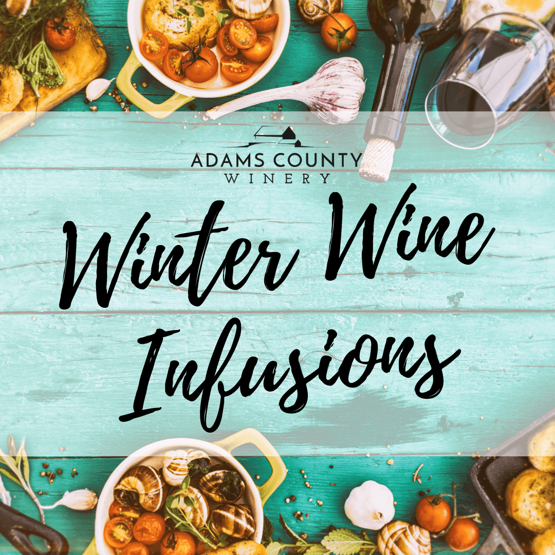 Winter Wine Infusions – Turning Point Roast Beef Sandwich & Seyval French Onion Soup