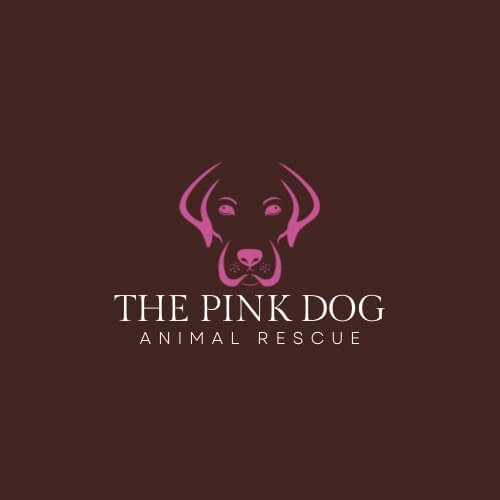 Pink Dog Animal Rescue – Meet and Greet Event