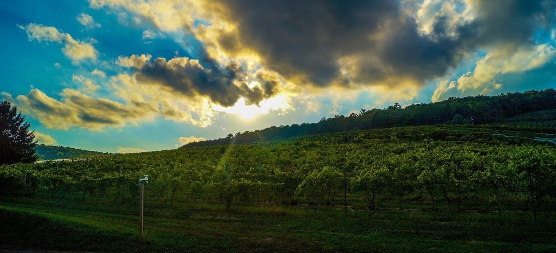 Adams County Winery Farm Winery photo