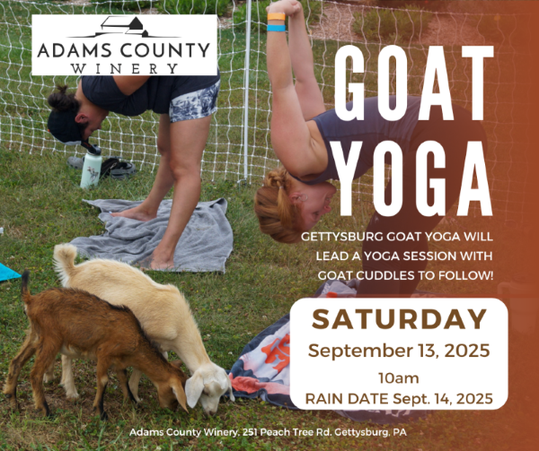 Women doing yoga with goats around and event details, time day, place