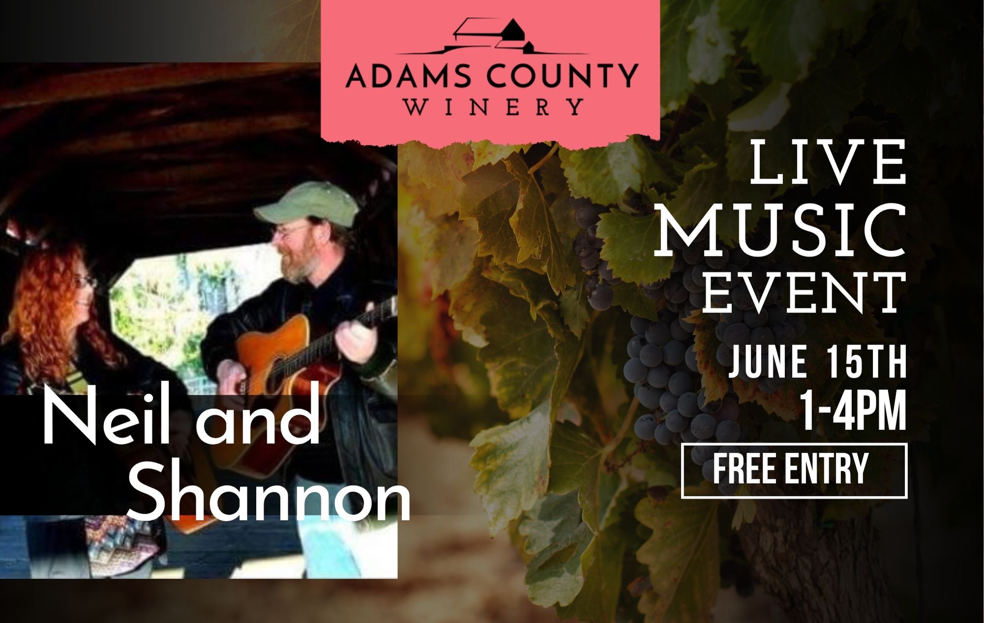 Photo of Neil and Shannon on top of a vineyard photo with live music event details