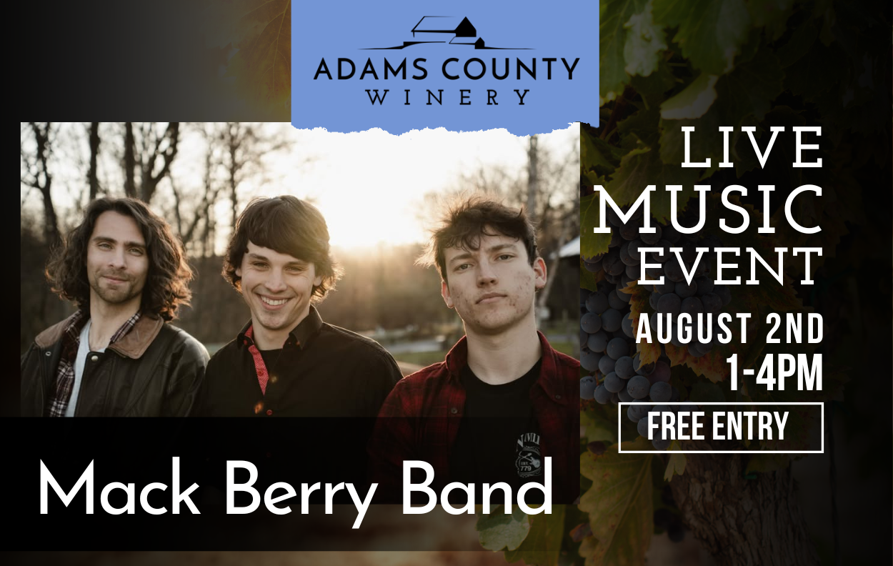 Three guys who are part of the Mack Berry Band standing in a field