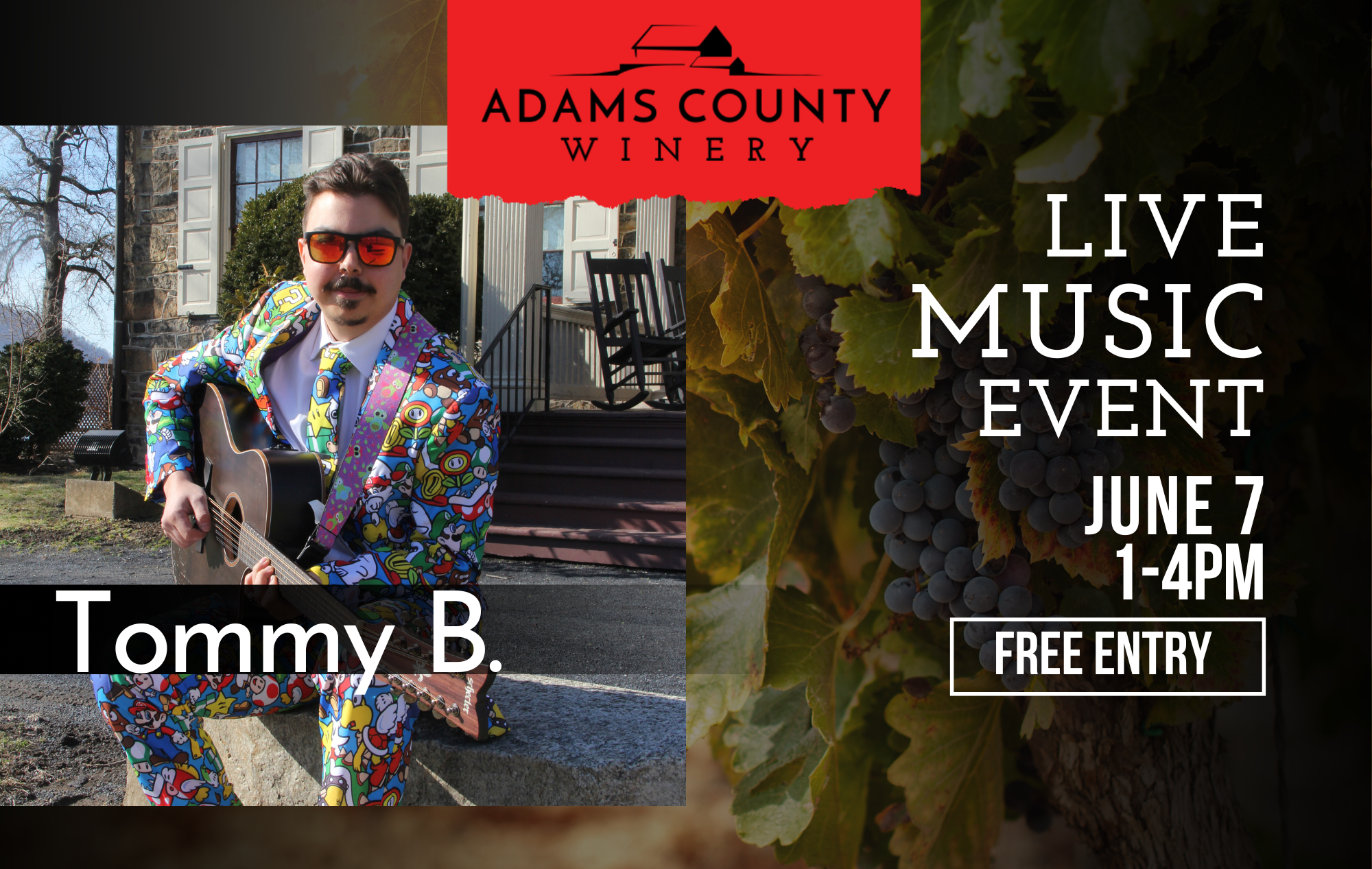 Tommy B. in a vibrant suit of cartoon figures with his guitar and live performance details.