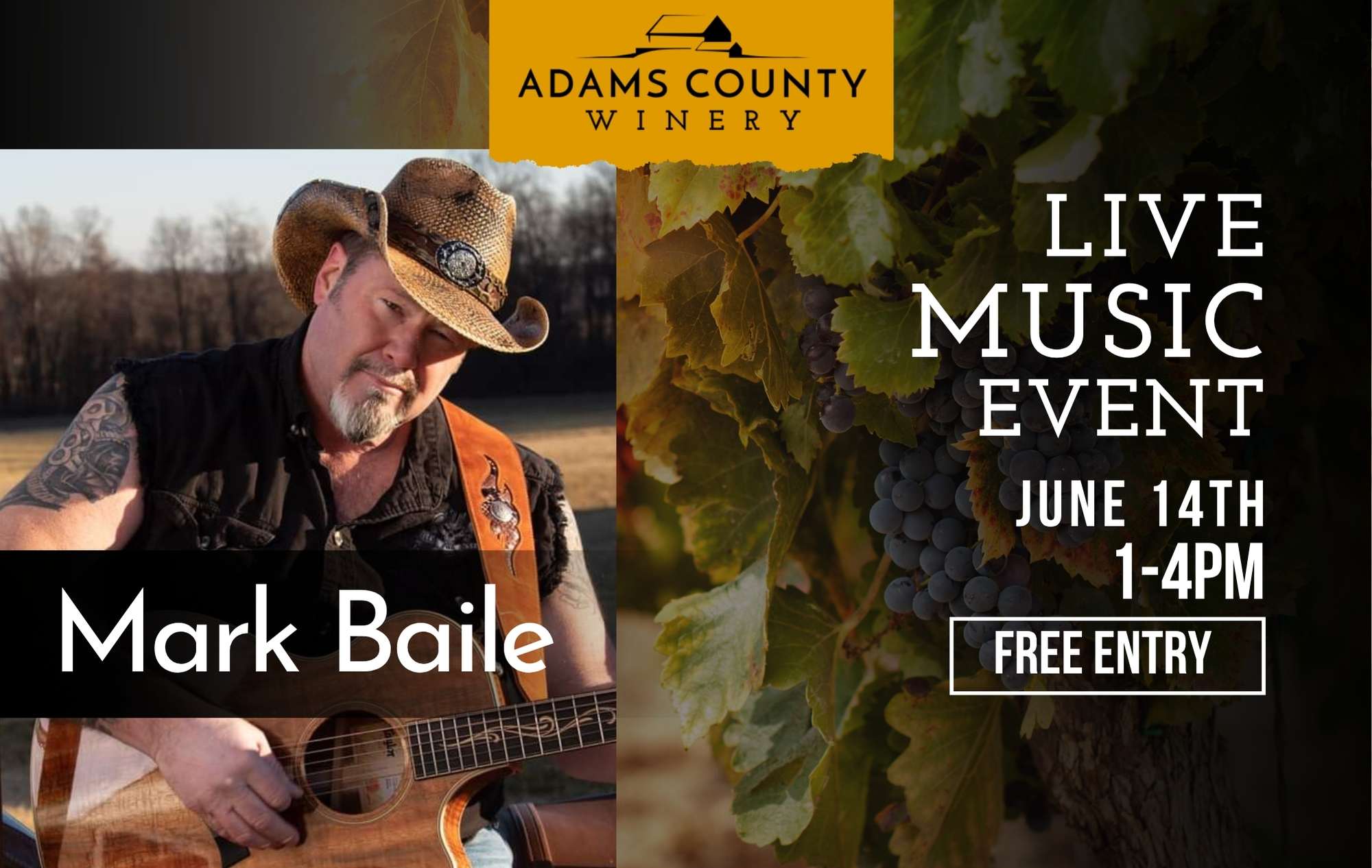 Mark Baile with details for this live music event on a vineyard photo