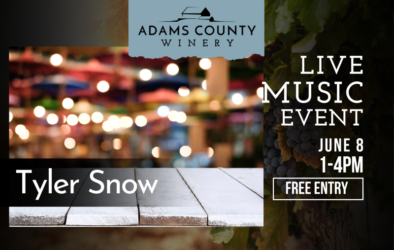 Tyler Snow live music event details with a blurred entertainment area in the background.