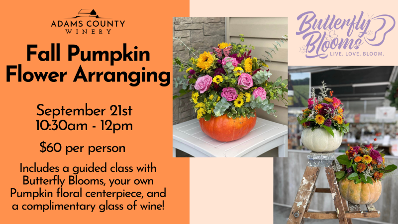 whole pumpkins in orange, white and green with flower arrangements on top.