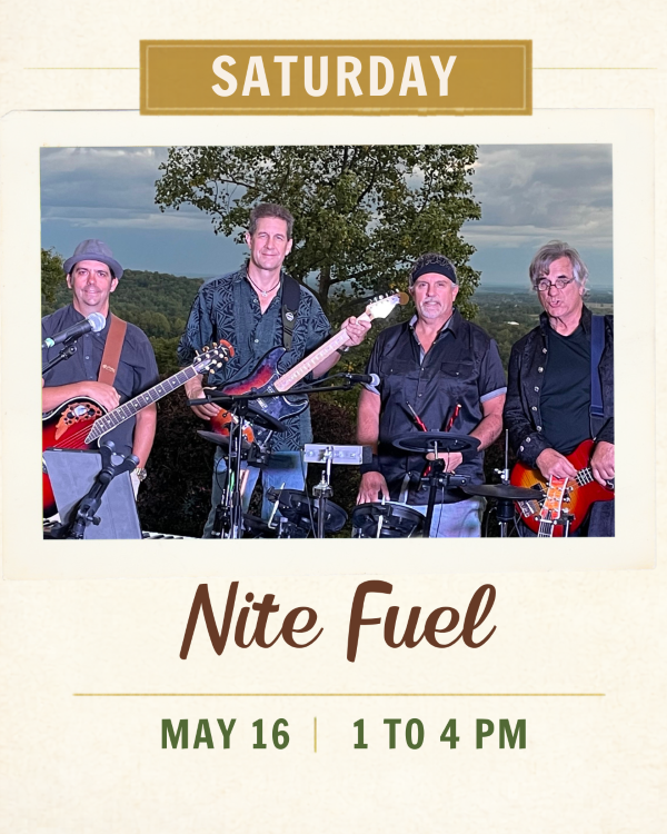 4 men with guitars and band instruments