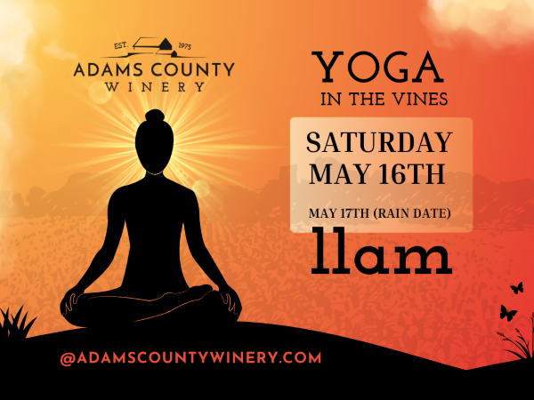 image of a woman sitting in a yoga pose